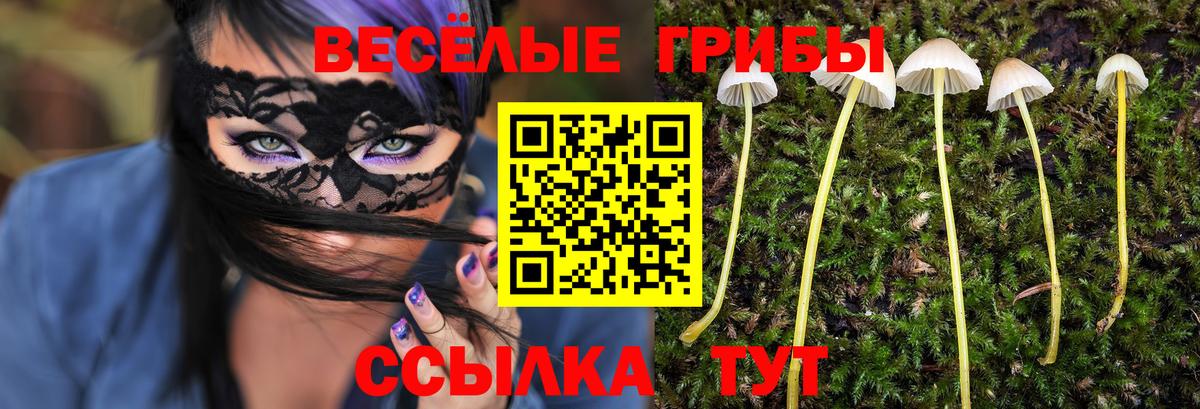 Галлюциногенные грибы GOLDEN TEACHER Нягань